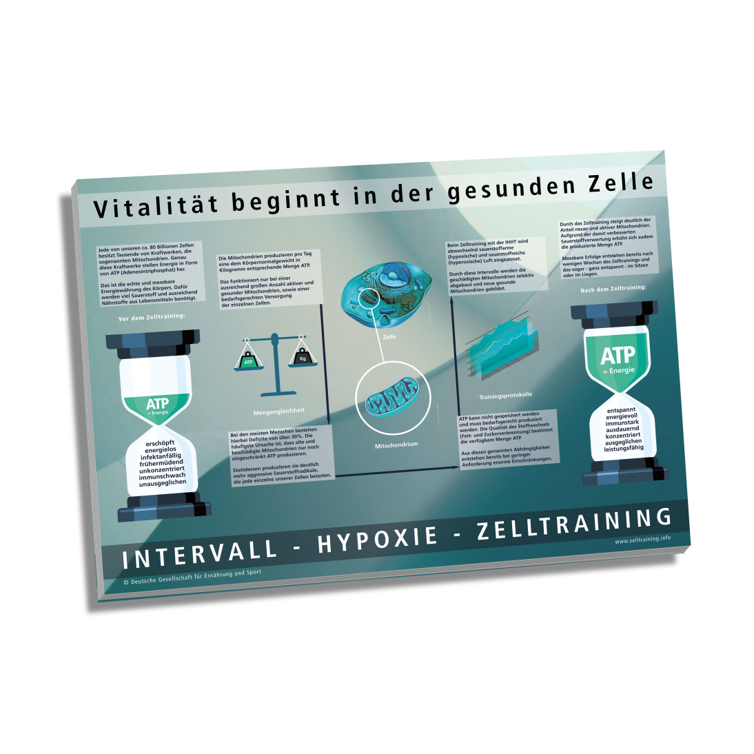 Poster "Erklärposter IHHT Zelltraining" Mengenstaffel 1 bis 10 Stück 250g Papier, DIN A1